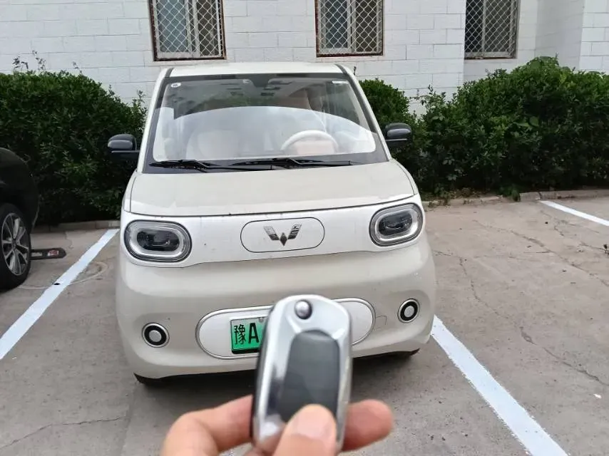 2024 WuLing HongGuang MINI EV BEV 17.3KWH,autocango,china used car exporter,china ev exporter,chinese used car exporter,chinese used ev exporter