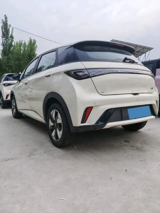 2025 BYD Dolphin BEV 44.928KWH,autocango,china used car exporter,china ev exporter,chinese used car exporter,chinese used ev exporter