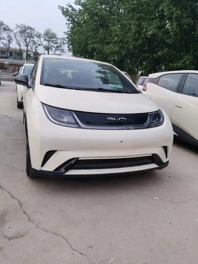 2025 BYD Dolphin BEV 44.928KWH,autocango,china used car exporter,china ev exporter,chinese used car exporter,chinese used ev exporter