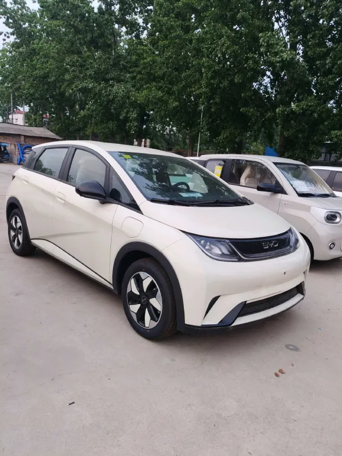 2025 BYD Dolphin BEV 44.928KWH,autocango,china used car exporter,china ev exporter,chinese used car exporter,chinese used ev exporter