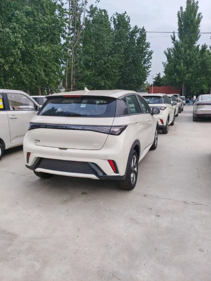 2025 BYD Dolphin BEV 44.928KWH,autocango,china used car exporter,china ev exporter,chinese used car exporter,chinese used ev exporter