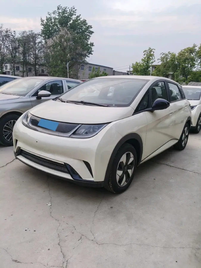 2025 BYD Dolphin BEV 44.928KWH,autocango,china used car exporter,china ev exporter,chinese used car exporter,chinese used ev exporter