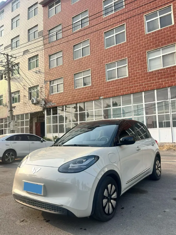 2023 WuLing BinGuo BEV 31.9KWH,autocango,china used car exporter,china ev exporter,chinese used car exporter,chinese used ev exporter