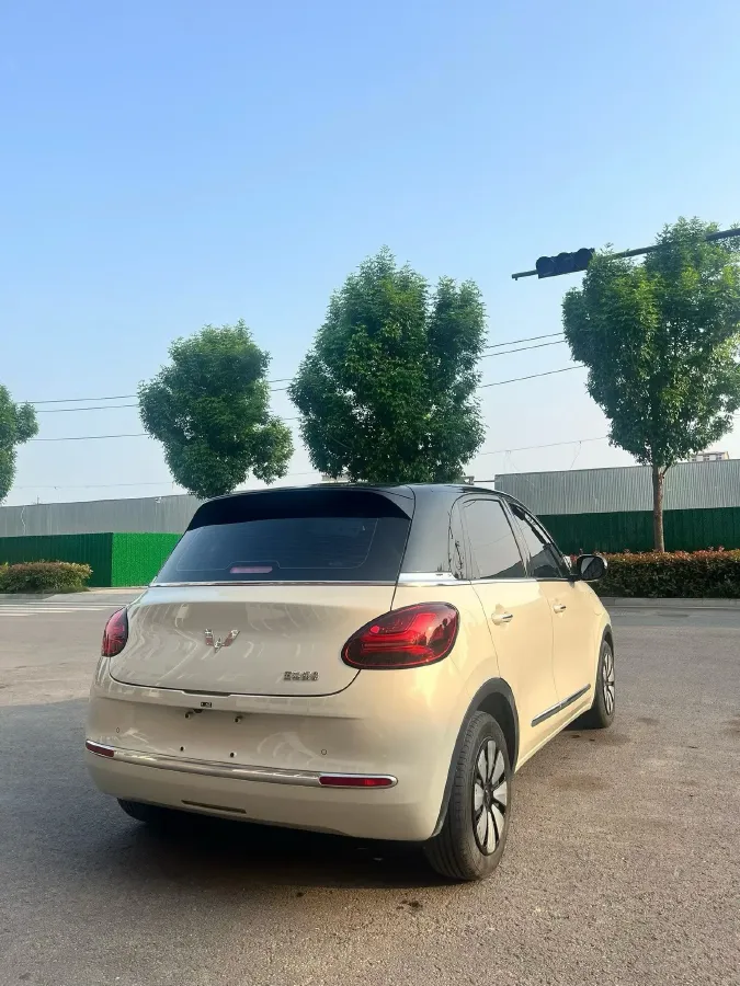 2023 WuLing BinGuo BEV 31.9KWH,autocango,china used car exporter,china ev exporter,chinese used car exporter,chinese used ev exporter