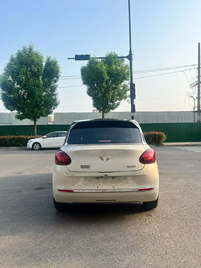2023 WuLing BinGuo BEV 31.9KWH,autocango,china used car exporter,china ev exporter,chinese used car exporter,chinese used ev exporter