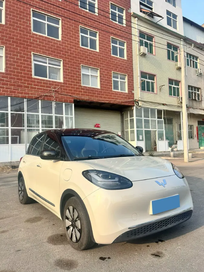 2023 WuLing BinGuo BEV 31.9KWH,autocango,china used car exporter,china ev exporter,chinese used car exporter,chinese used ev exporter