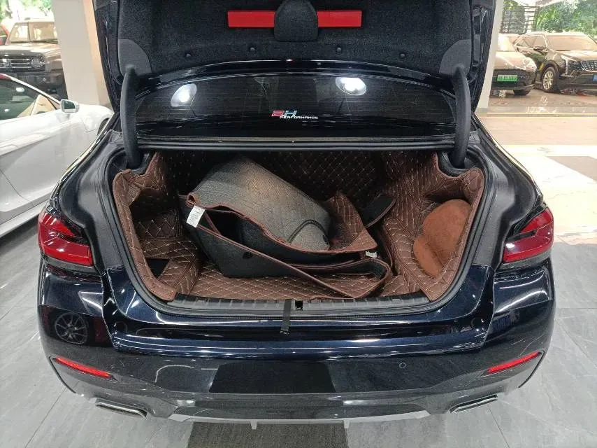 2021 BMW 5 Series 2.0T 252HP L4 8AT,autocango,china used car exporter,china ev exporter,chinese used car exporter,chinese used ev exporter