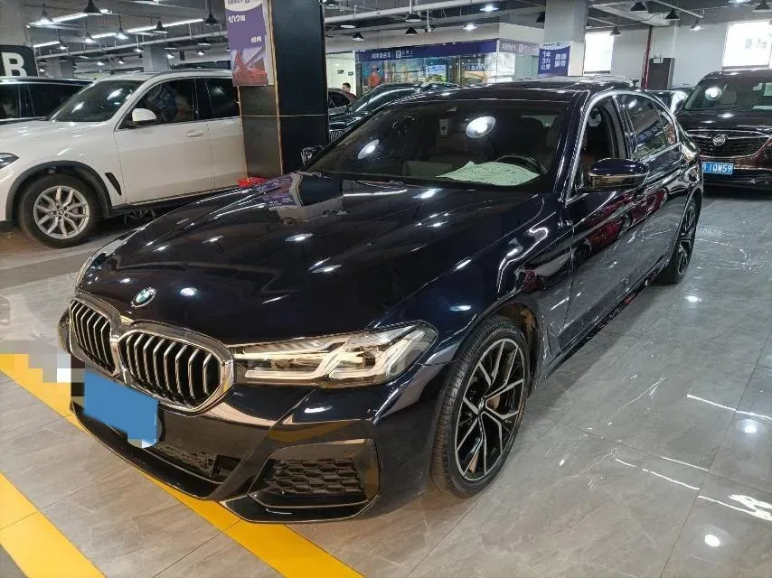 2021 BMW 5 Series 2.0T 252HP L4 8AT,autocango,china used car exporter,china ev exporter,chinese used car exporter,chinese used ev exporter