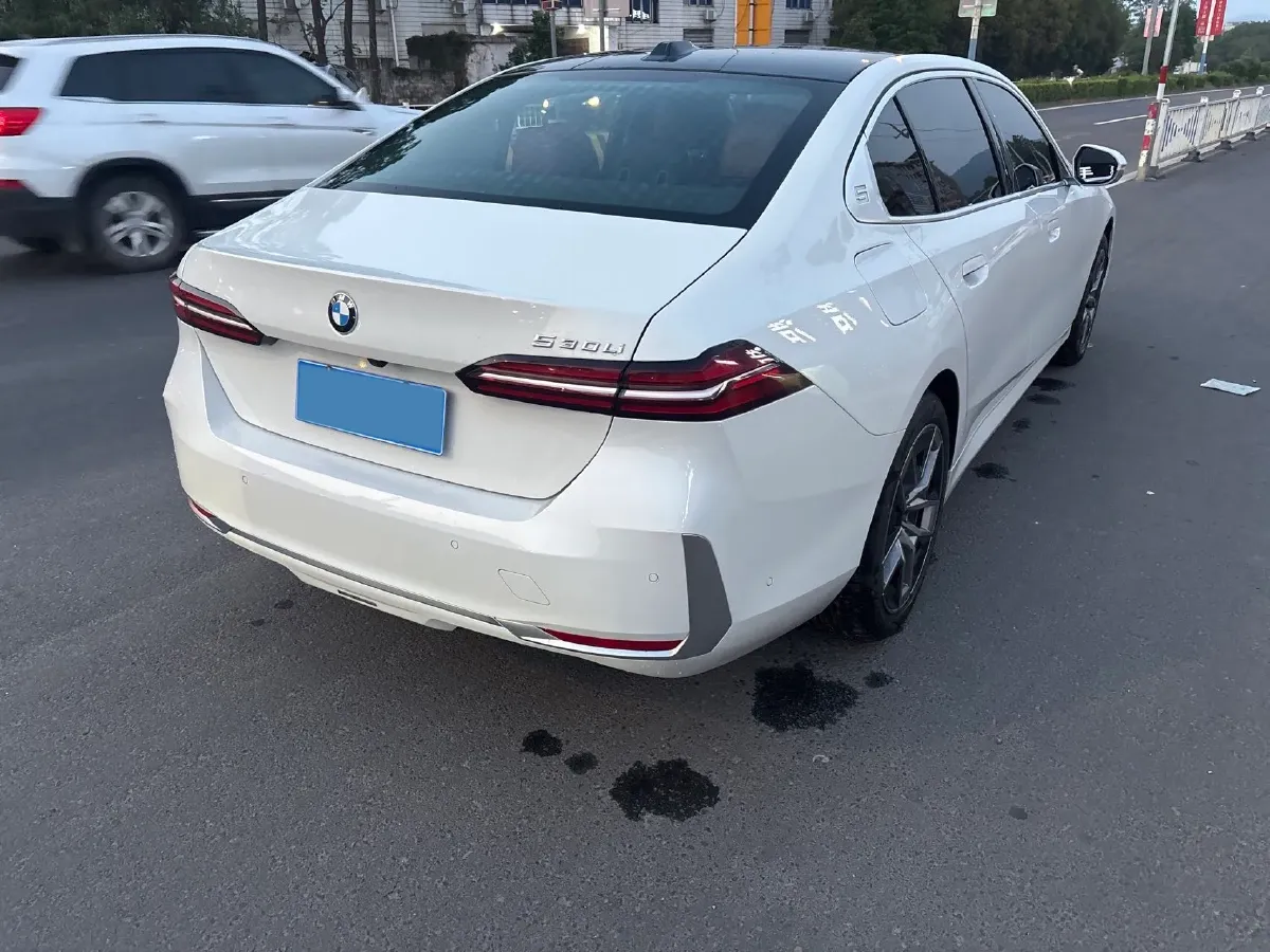 2024 BMW 5 Series 2.0T 258HP L4 8AT,autocango,china used car exporter,china ev exporter,chinese used car exporter,chinese used ev exporter