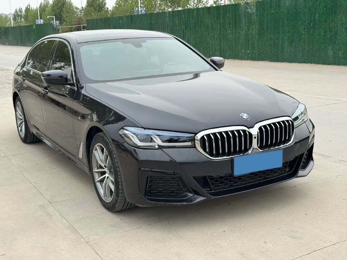 2020 BMW 5 Series 2.0T 184HP L4 8AT,autocango,china used car exporter,china ev exporter,chinese used car exporter,chinese used ev exporter