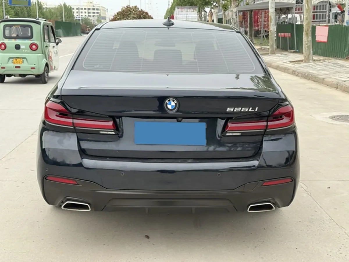 2020 BMW 5 Series 2.0T 184HP L4 8AT,autocango,china used car exporter,china ev exporter,chinese used car exporter,chinese used ev exporter