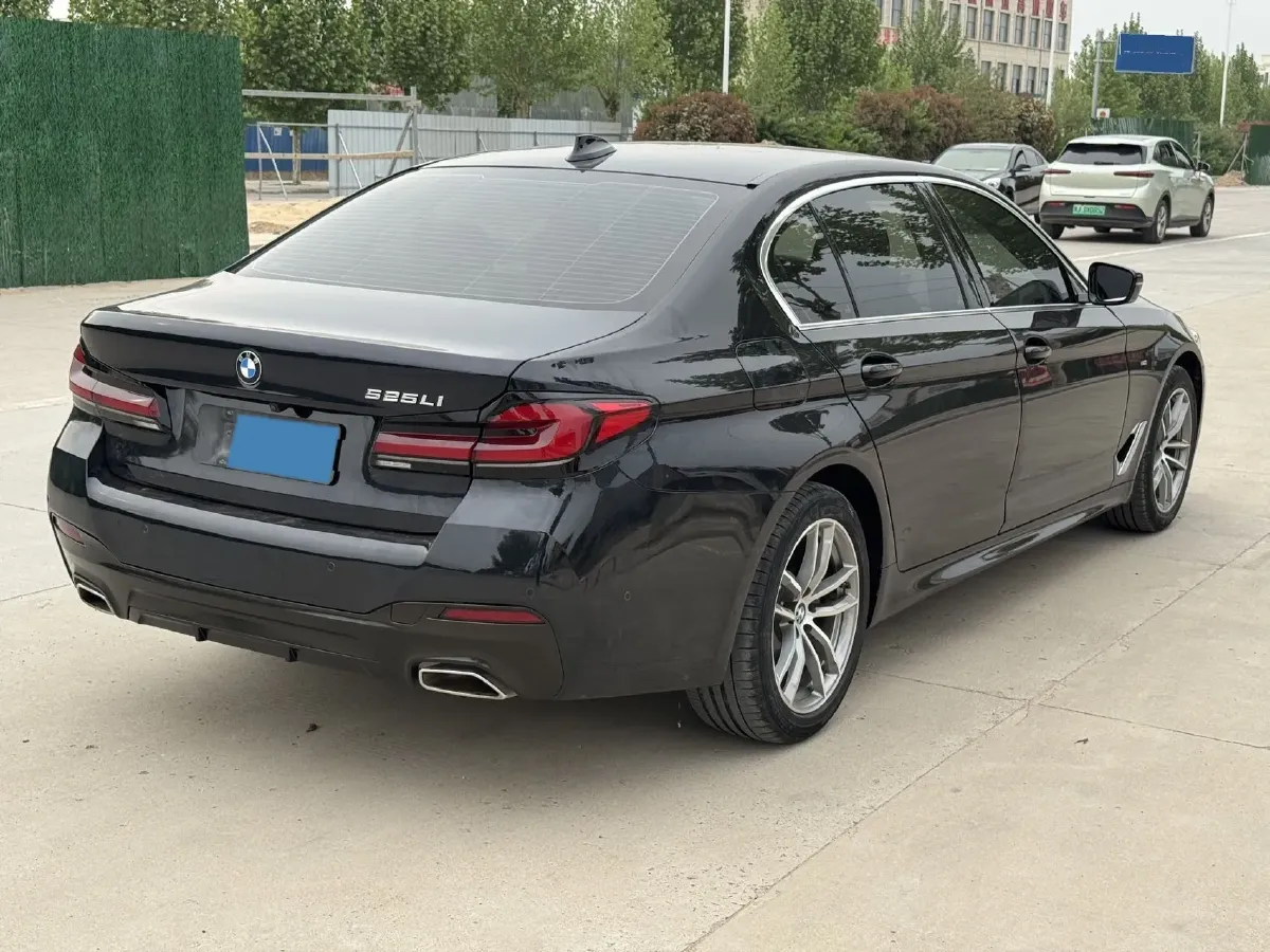 2020 BMW 5 Series 2.0T 184HP L4 8AT,autocango,china used car exporter,china ev exporter,chinese used car exporter,chinese used ev exporter