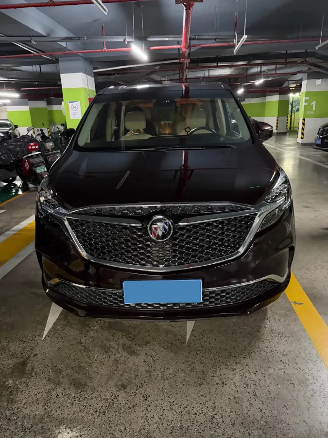 2020 Buick GL8 2.0T 237HP L4 9AT,autocango,china used car exporter,china ev exporter,chinese used car exporter,chinese used ev exporter