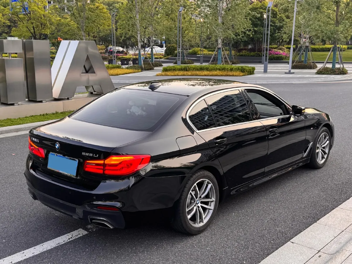 2020 BMW 5 Series 2.0T 184HP L4 8AT,autocango,china used car exporter,china ev exporter,chinese used car exporter,chinese used ev exporter