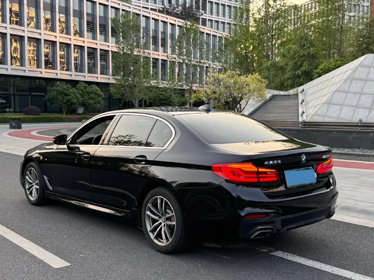 2020 BMW 5 Series 2.0T 184HP L4 8AT,autocango,china used car exporter,china ev exporter,chinese used car exporter,chinese used ev exporter