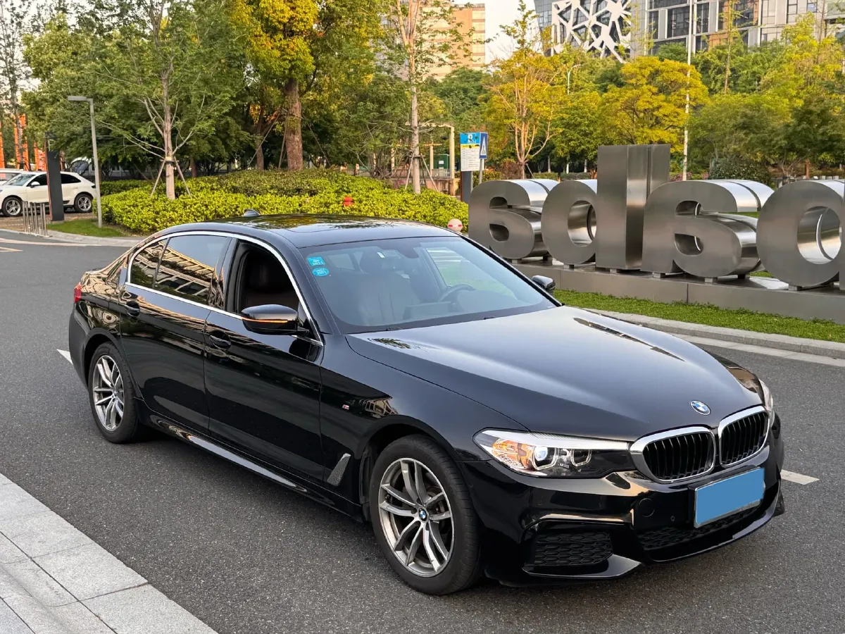 2020 BMW 5 Series 2.0T 184HP L4 8AT,autocango,china used car exporter,china ev exporter,chinese used car exporter,chinese used ev exporter