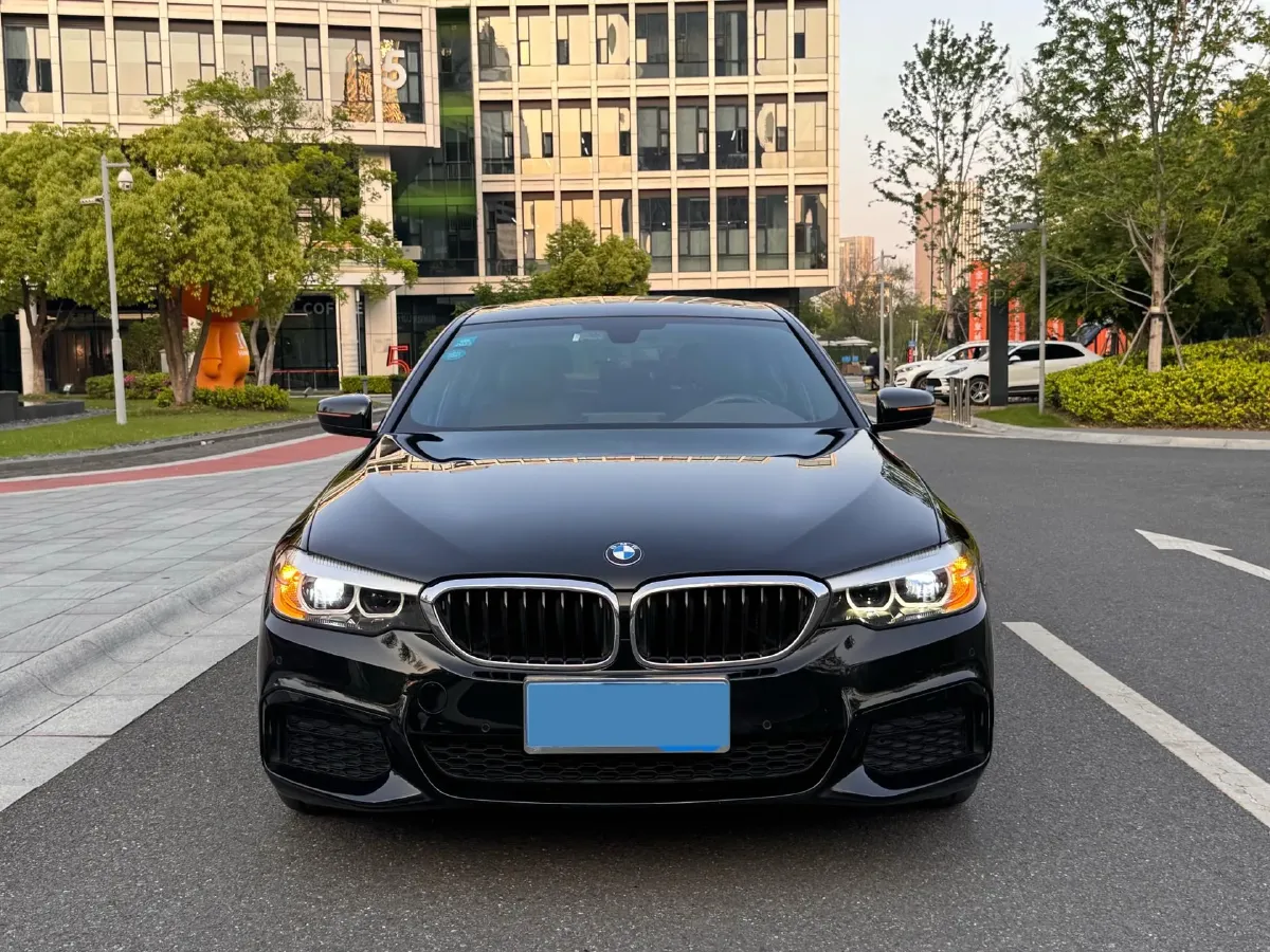 2020 BMW 5 Series 2.0T 184HP L4 8AT,autocango,china used car exporter,china ev exporter,chinese used car exporter,chinese used ev exporter