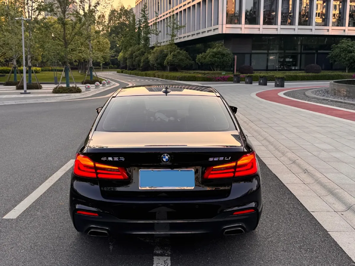 2020 BMW 5 Series 2.0T 184HP L4 8AT,autocango,china used car exporter,china ev exporter,chinese used car exporter,chinese used ev exporter