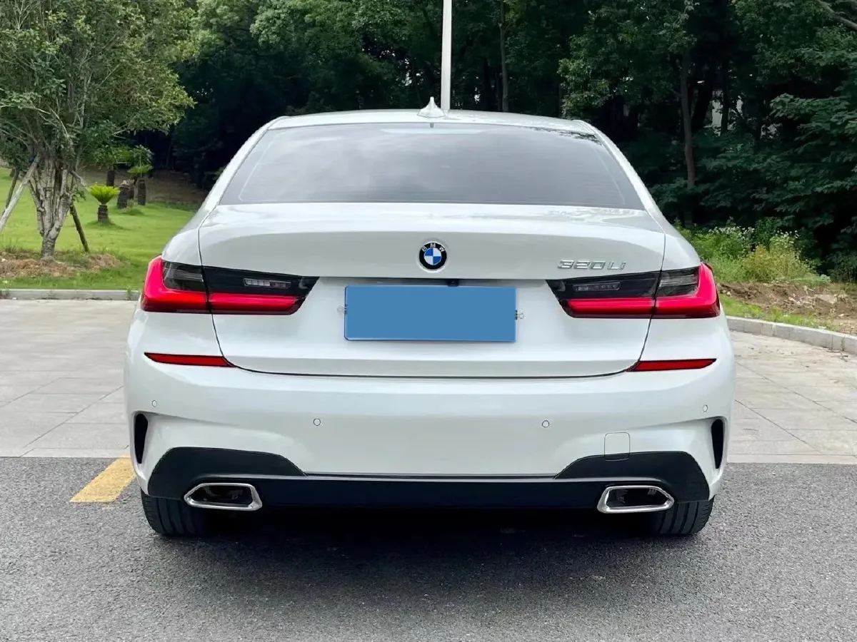 2021 BMW 3 Series 2.0T 156HP L4 8AT,autocango,china used car exporter,china ev exporter,chinese used car exporter,chinese used ev exporter