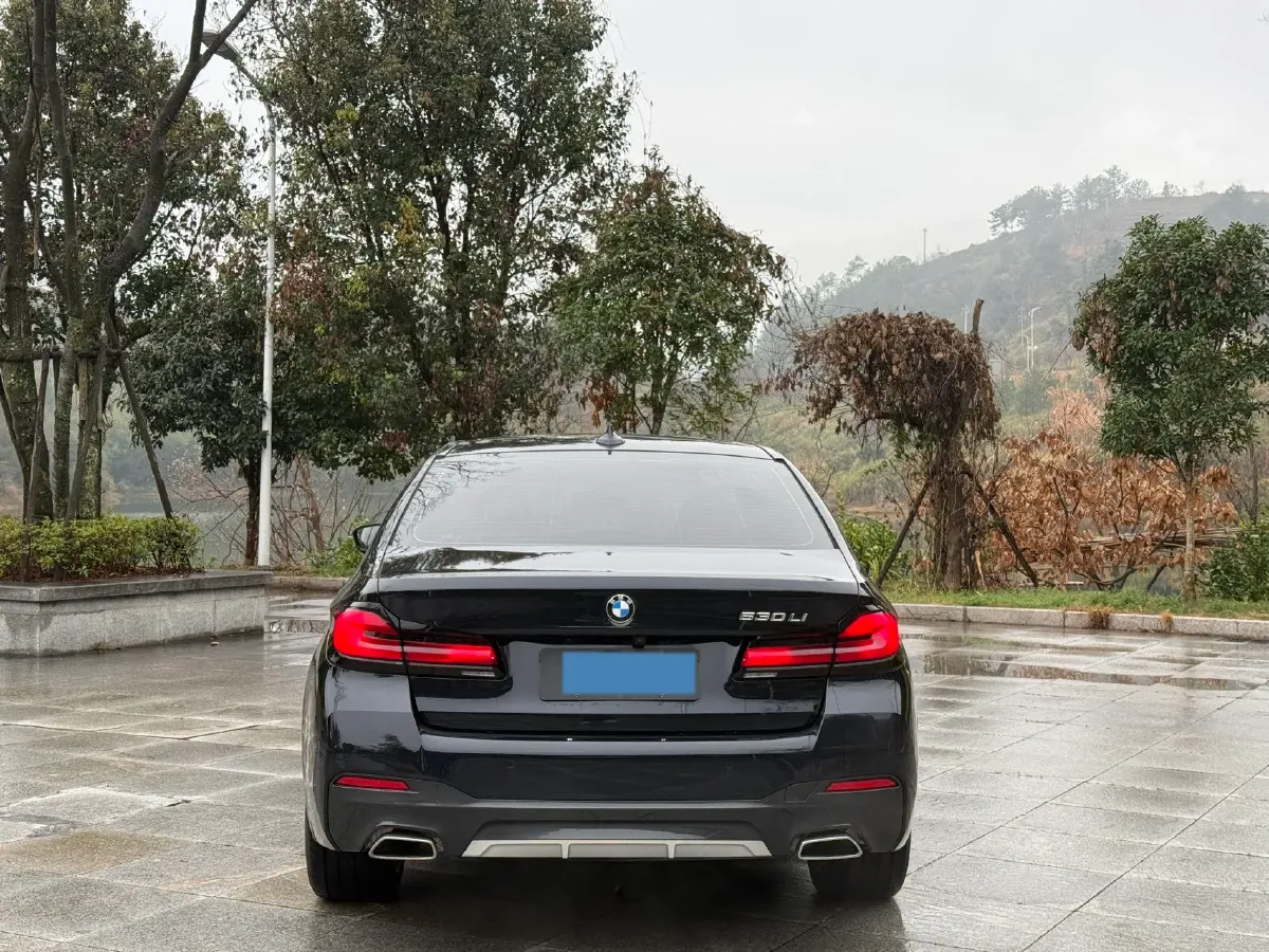 2023 BMW 5 Series 2.0T 245HP L4 8AT,autocango,china used car exporter,china ev exporter,chinese used car exporter,chinese used ev exporter