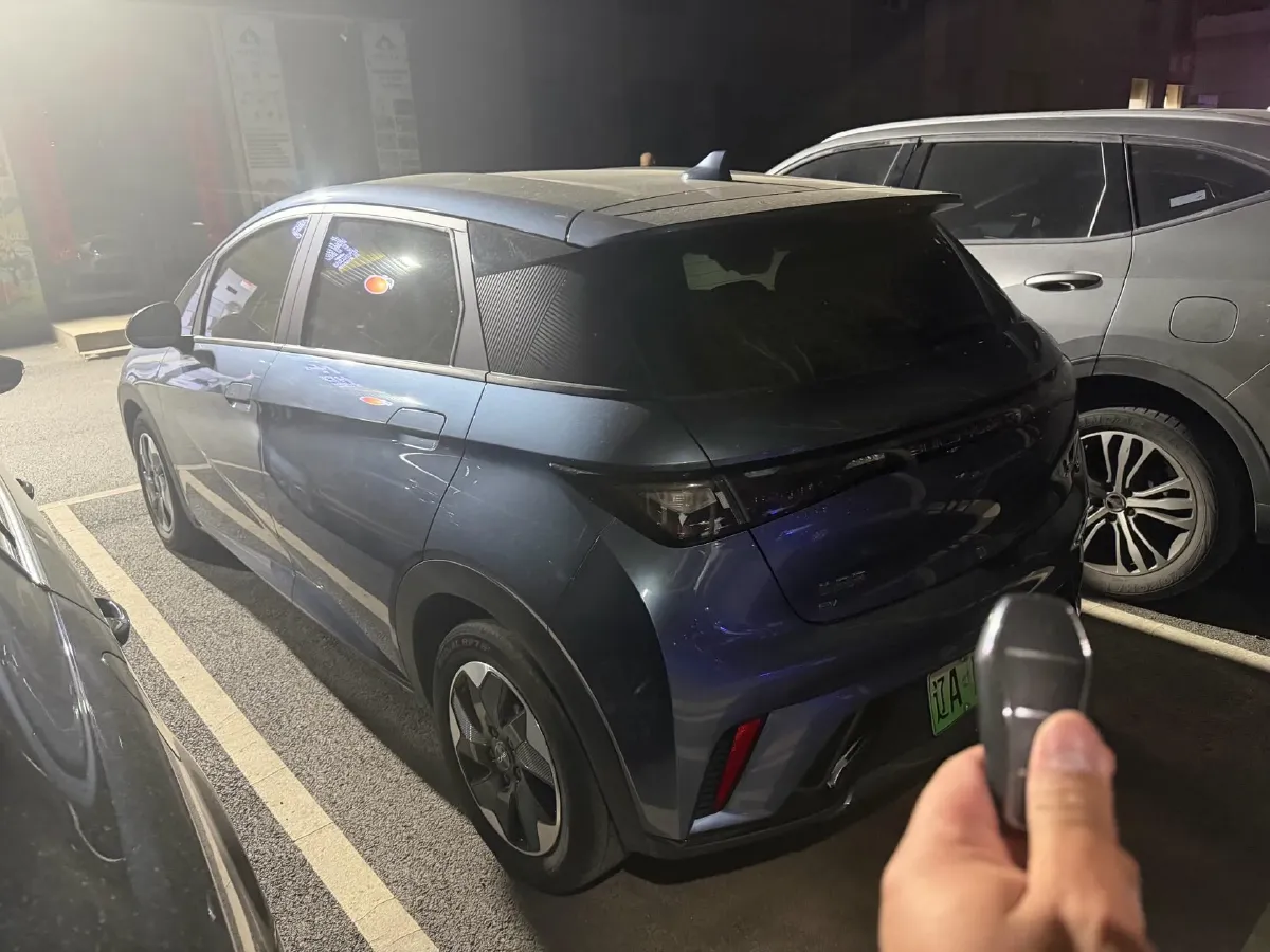 2024 BYD Dolphin BEV 44.928KWH,autocango,china used car exporter,china ev exporter,chinese used car exporter,chinese used ev exporter