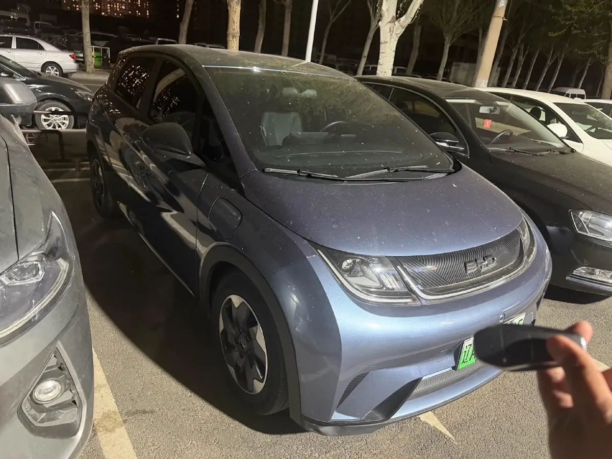 2024 BYD Dolphin BEV 44.928KWH,autocango,china used car exporter,china ev exporter,chinese used car exporter,chinese used ev exporter