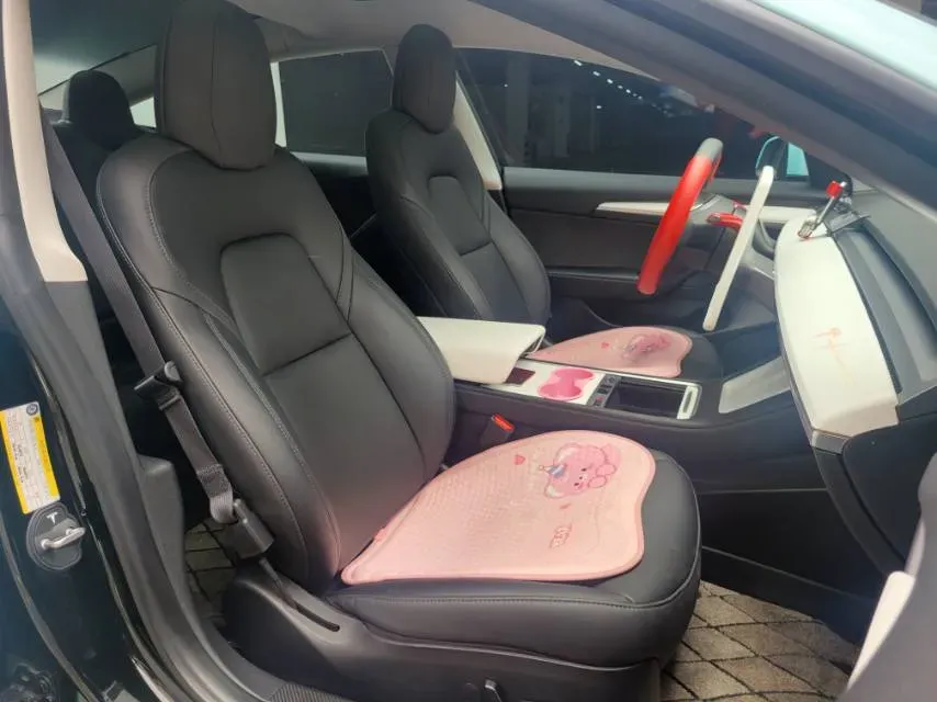 2022 Tesla Model 3 BEV 60KWH,autocango,china used car exporter,china ev exporter,chinese used car exporter,chinese used ev exporter