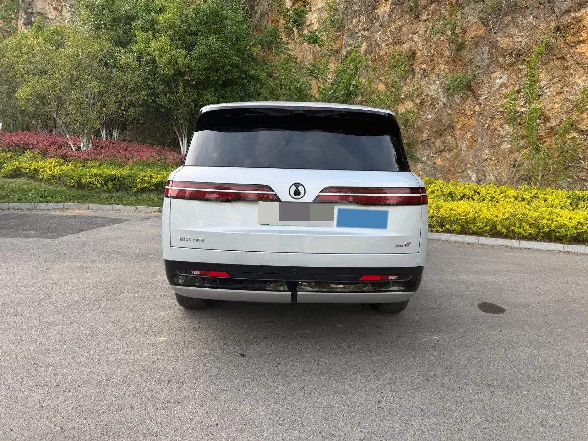 2025 Denza DenzaN9 2.0T 207HP L4 E-CVT PHEV,autocango,china used car exporter,china ev exporter,chinese used car exporter,chinese used ev exporter
