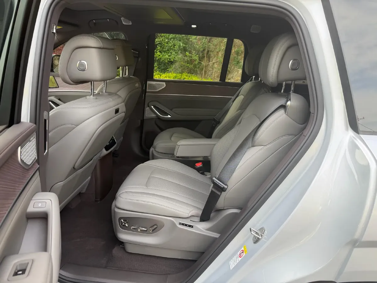 2025 Denza DenzaN9 2.0T 207HP L4 E-CVT PHEV,autocango,china used car exporter,china ev exporter,chinese used car exporter,chinese used ev exporter