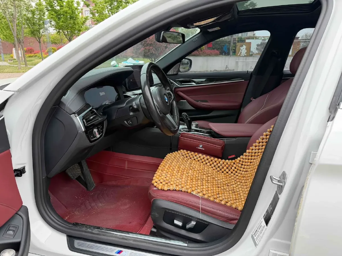 2021 BMW 5 Series 2.0T 184HP L4 8AT,autocango,china used car exporter,china ev exporter,chinese used car exporter,chinese used ev exporter