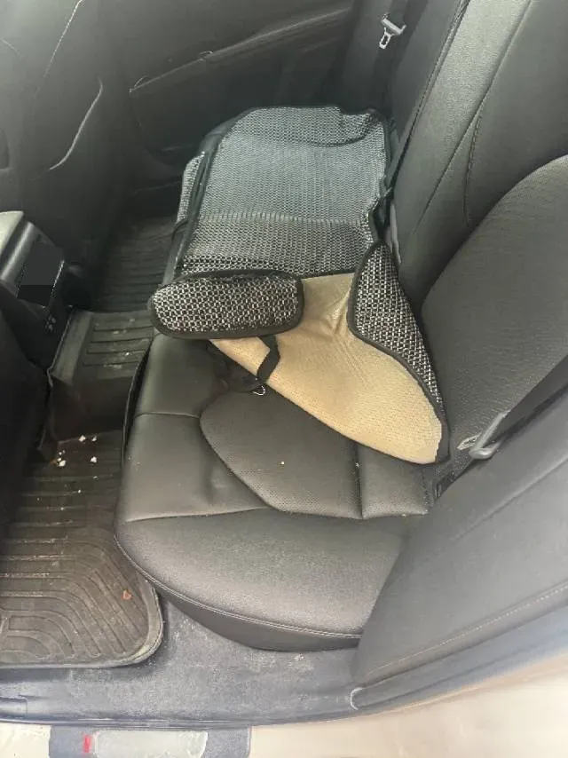 2019 Toyota Camry 2.0L 178HP L4 CVT,autocango,china used car exporter,china ev exporter,chinese used car exporter,chinese used ev exporter