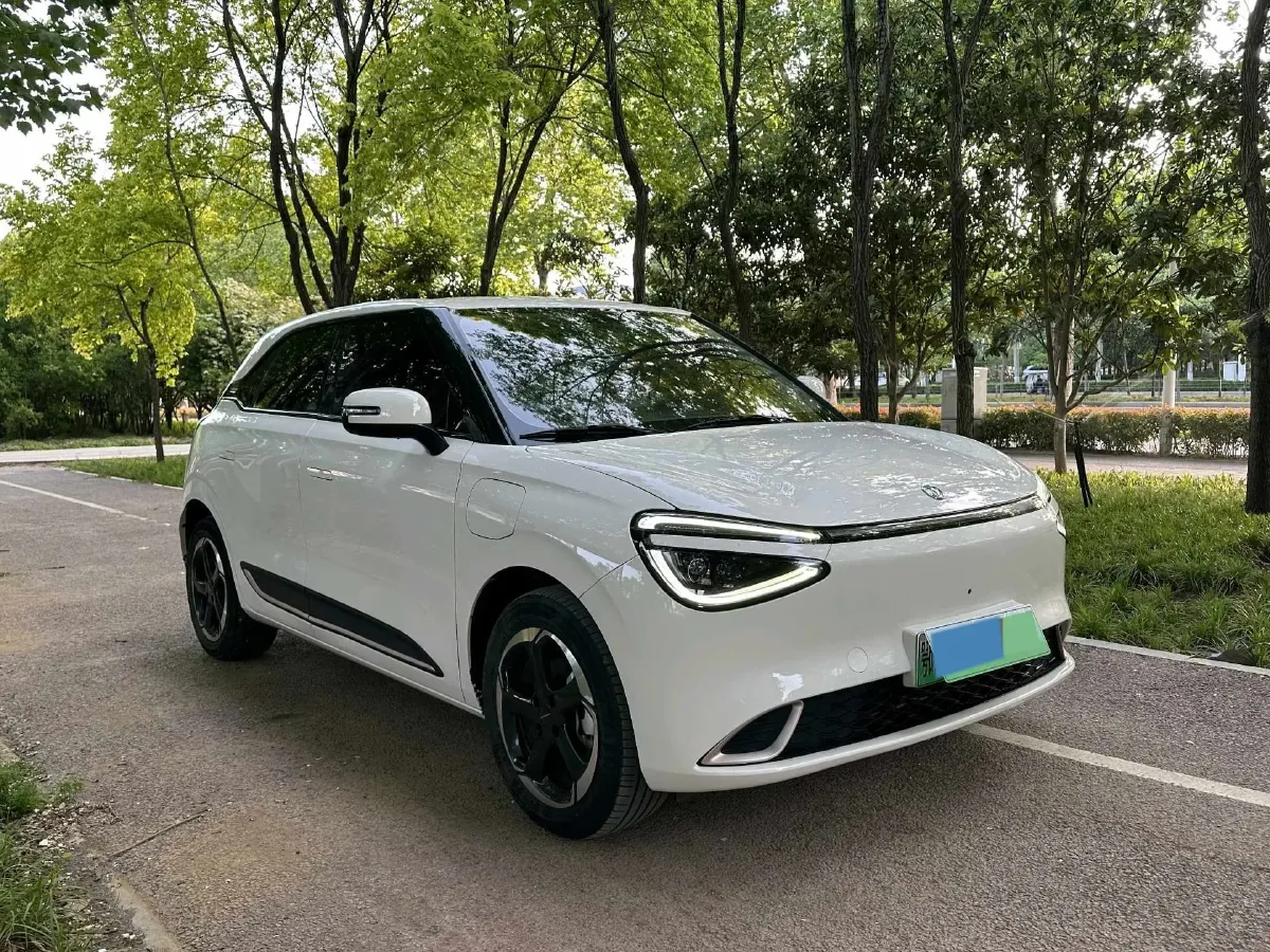 2024 DongFeng Nammi 01 BEV 42.3KWH,autocango,china used car exporter,china ev exporter,chinese used car exporter,chinese used ev exporter