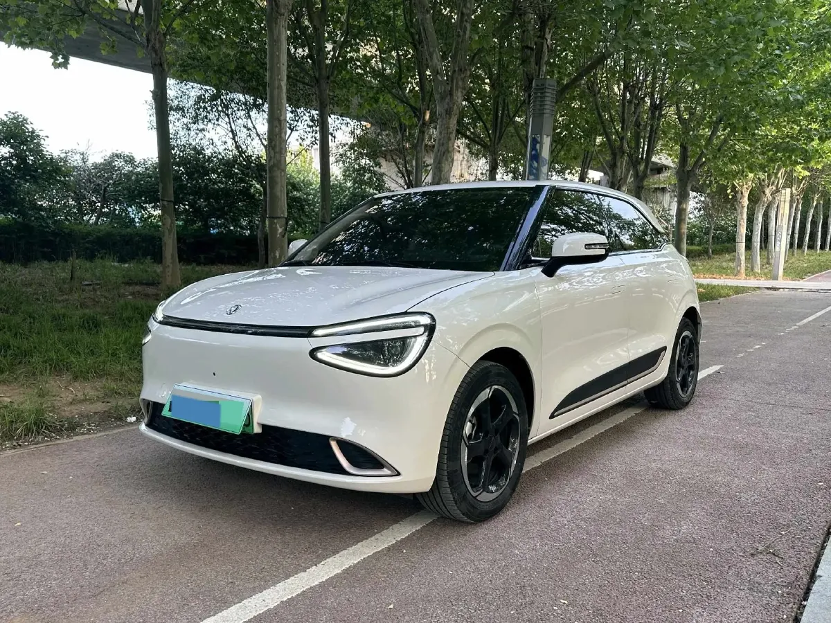 2024 DongFeng Nammi 01 BEV 42.3KWH,autocango,china used car exporter,china ev exporter,chinese used car exporter,chinese used ev exporter
