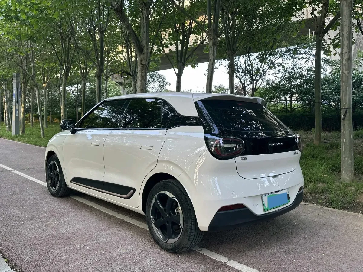 2024 DongFeng Nammi 01 BEV 42.3KWH,autocango,china used car exporter,china ev exporter,chinese used car exporter,chinese used ev exporter