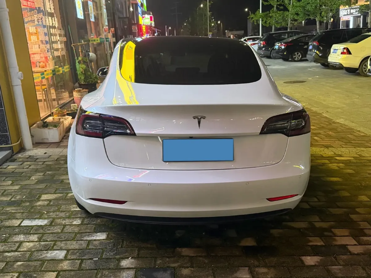 2020 Tesla Model 3 BEV 55KWH,autocango,china used car exporter,china ev exporter,chinese used car exporter,chinese used ev exporter