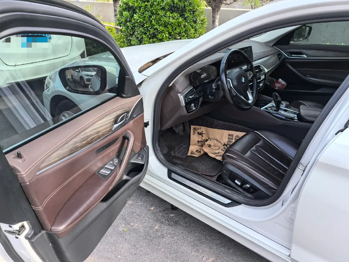 2020 BMW 5 Series 2.0T 252HP L4 8AT,autocango,china used car exporter,china ev exporter,chinese used car exporter,chinese used ev exporter