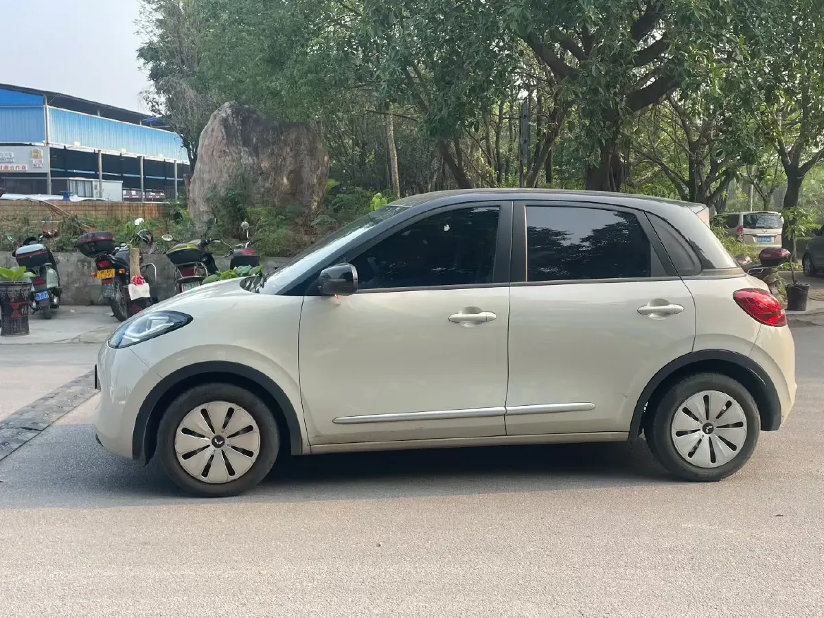 2023 WuLing BinGuo BEV 17.3KWH,autocango,china used car exporter,china ev exporter,chinese used car exporter,chinese used ev exporter