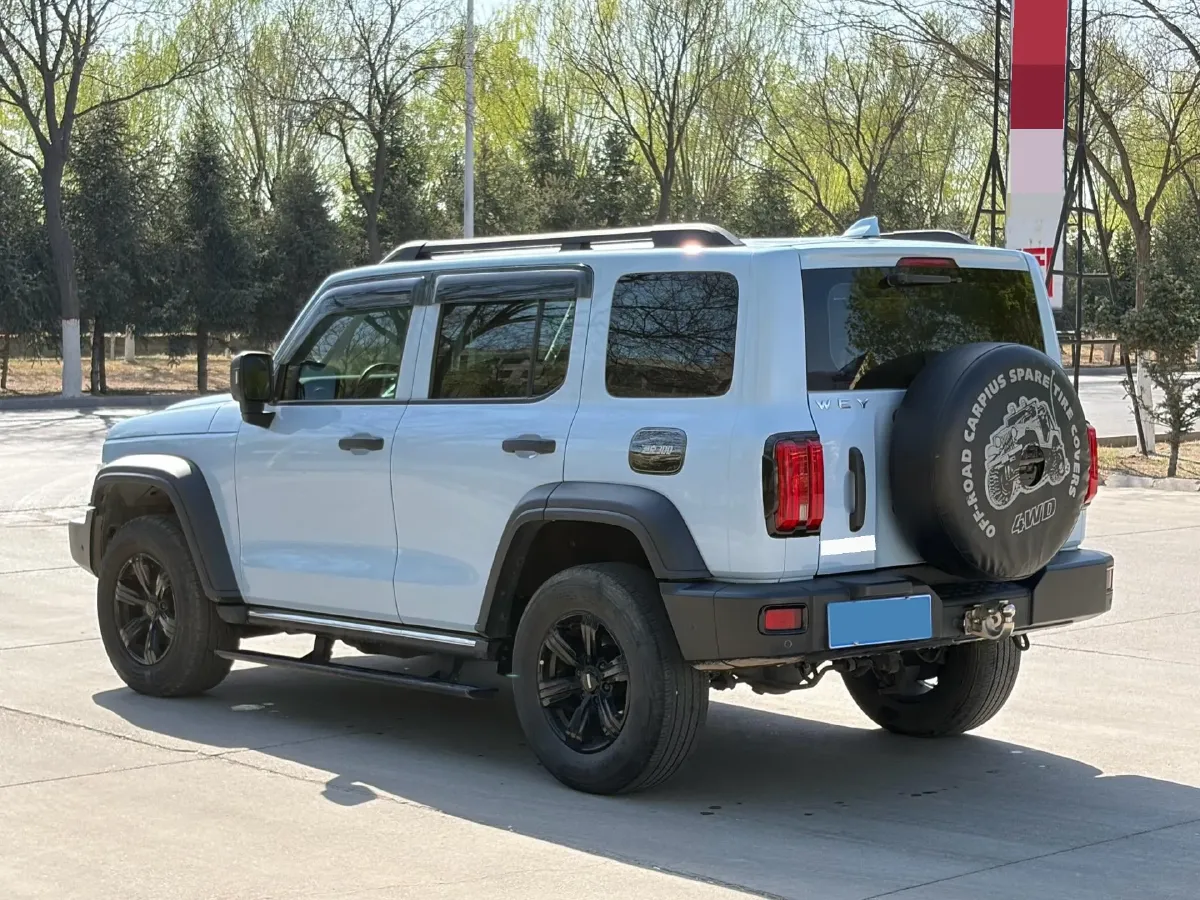 2021 Tank 300 2.0T 227HP L4 8AT,autocango,china used car exporter,china ev exporter,chinese used car exporter,chinese used ev exporter