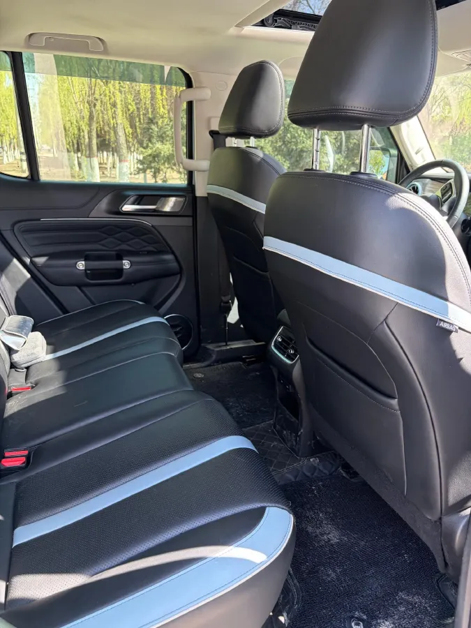 2021 Tank 300 2.0T 227HP L4 8AT,autocango,china used car exporter,china ev exporter,chinese used car exporter,chinese used ev exporter