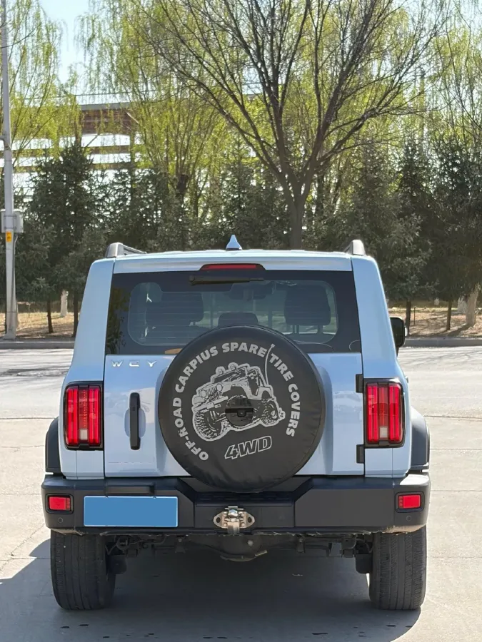 2021 Tank 300 2.0T 227HP L4 8AT,autocango,china used car exporter,china ev exporter,chinese used car exporter,chinese used ev exporter