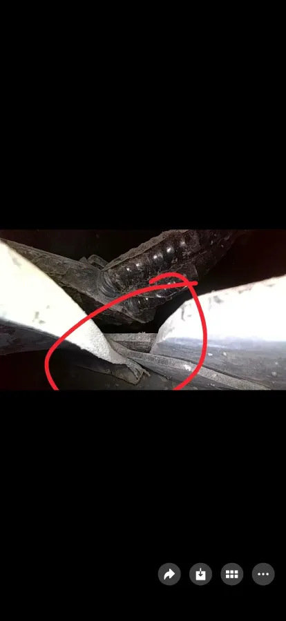 2018 Toyota Highlander 2.0T 220HP L4 6AT,autocango,china used car exporter,china ev exporter,chinese used car exporter,chinese used ev exporter