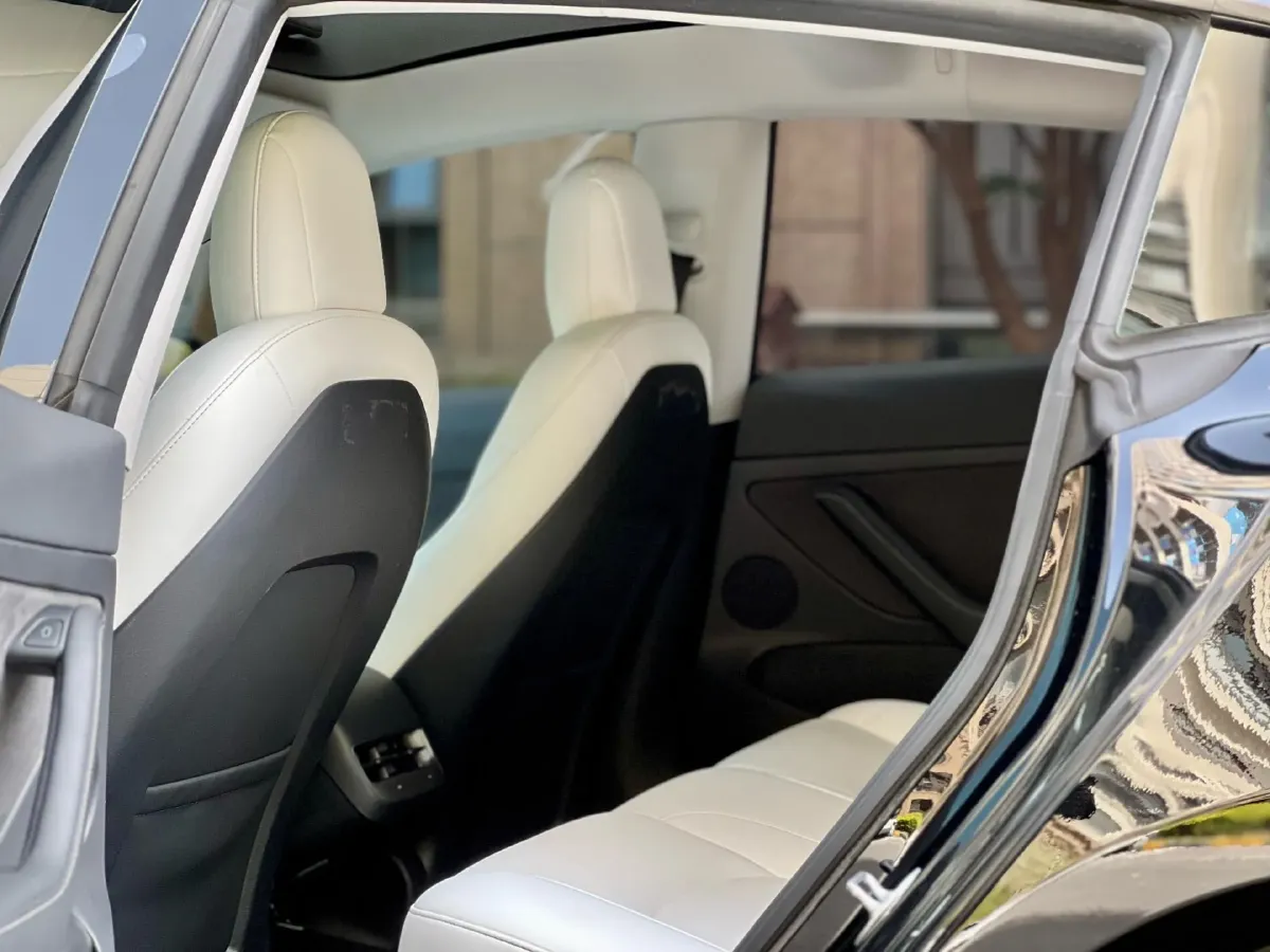 2022 Tesla Model 3 BEV 60KWH,autocango,china used car exporter,china ev exporter,chinese used car exporter,chinese used ev exporter