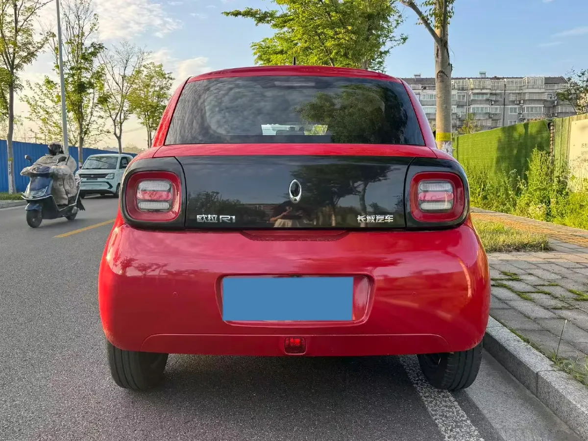 2019 Ora BlackCat BEV 28.5KWH,autocango,china used car exporter,china ev exporter,chinese used car exporter,chinese used ev exporter