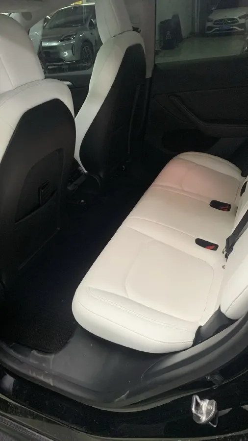 2021 Tesla Model 3 BEV 76.8KWH,autocango,china used car exporter,china ev exporter,chinese used car exporter,chinese used ev exporter