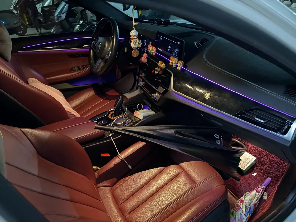 2020 BMW 5 Series 2.0T 252HP L4 8AT,autocango,china used car exporter,china ev exporter,chinese used car exporter,chinese used ev exporter