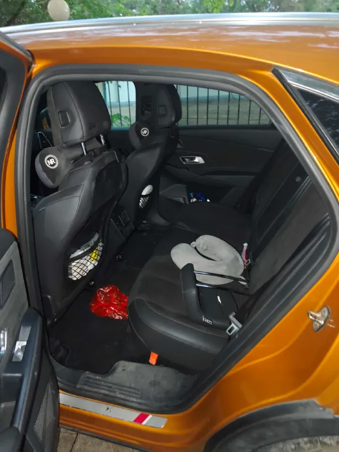 2018 DS 7 1.6T 180HP L4 8AT,autocango,china used car exporter,china ev exporter,chinese used car exporter,chinese used ev exporter