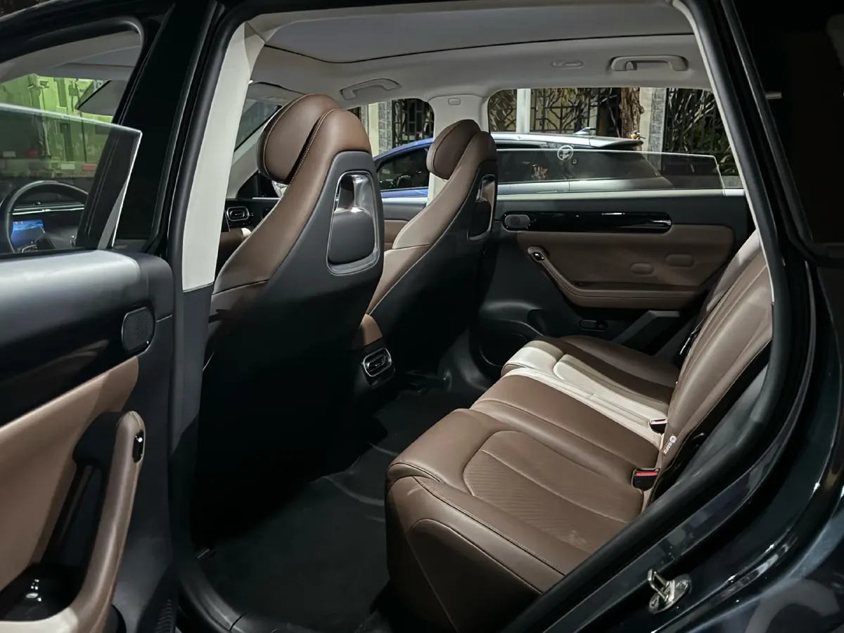 2023 Leapmotor C11 Range Extended 131HP REEV 43.74KWH,autocango,china used car exporter,china ev exporter,chinese used car exporter,chinese used ev exporter