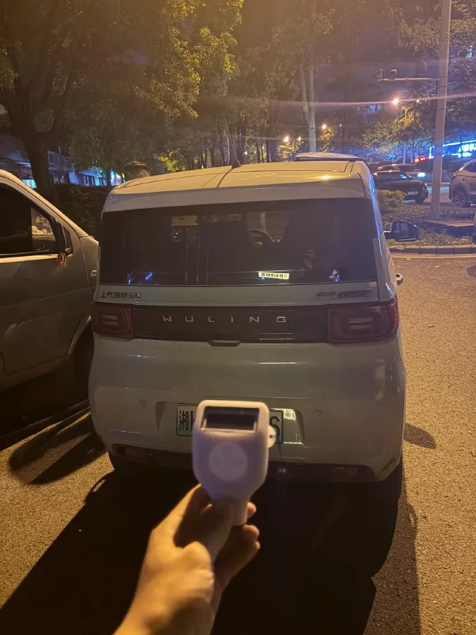 2020 WuLing HongGuang MINI EV BEV 9KWH,autocango,china used car exporter,china ev exporter,chinese used car exporter,chinese used ev exporter