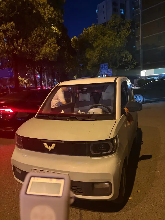 2020 WuLing HongGuang MINI EV BEV 9KWH,autocango,china used car exporter,china ev exporter,chinese used car exporter,chinese used ev exporter