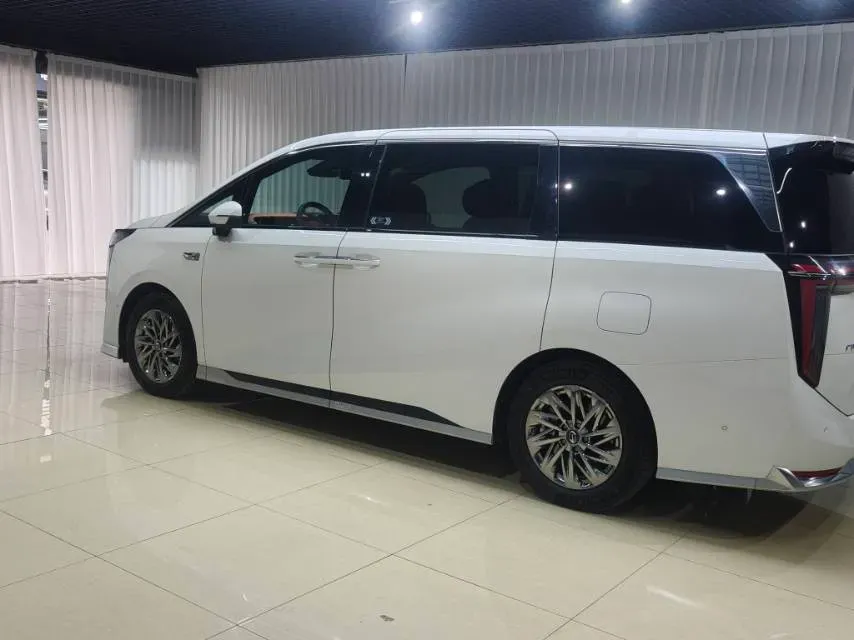 2025 GAC Trumpchi M8 2.0T 190HP L4 2DHT PHEV,autocango,china used car exporter,china ev exporter,chinese used car exporter,chinese used ev exporter